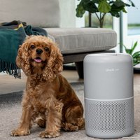 Очиститель воздуха Levoit Core P350