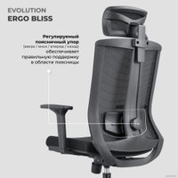 Кресло Evolution ERGO BLISS Black (черный) в Гродно