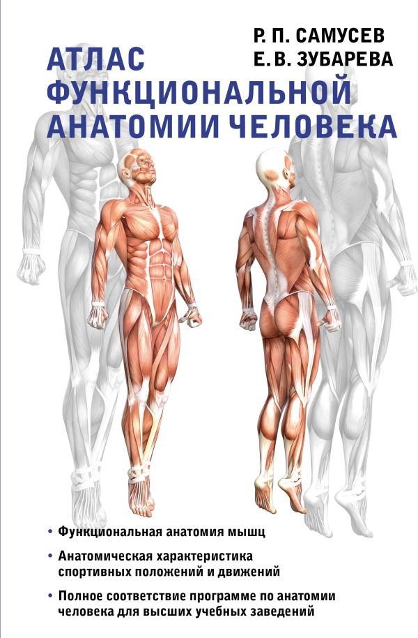 

Книга издательства АСТ. Атлас функциональной анатомии человека (Самусев Р., Зубарева Е.)