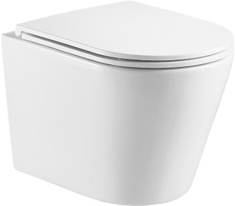Унитаз подвесной WeltWasser Salzbach 043 GL-WT (белый глянцевый)
