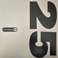  Виниловая пластинка The Prodigy ‎- The Fat Of The Land (Limited Edition, серебристый винил)