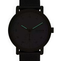 Наручные часы Skagen SKW3101