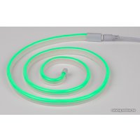 Гибкий неон Neon-Night Креатив 240 LED 131-034-1 (2 м, зеленый)