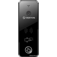 Вызывная панель Tantos iPanel 2 WG