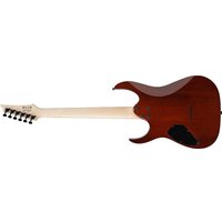 Электрогитара Ibanez GRGR221PA-AQB