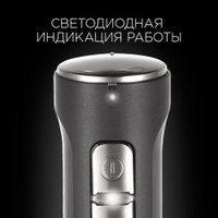 Погружной блендер Redmond (Редмонд) RHB-2902