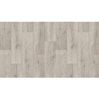 Линолеум Tarkett Club Arma 1 (3.5x5.5м)