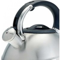 Чайник со свистком Alpenkok AK-531