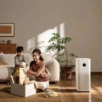 Очиститель воздуха Xiaomi Mijia Air Purifier 5S AC-M24-SC (с переходником на евровилку)