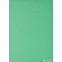 Картонная обложка для переплета ProMega Office А4 230 мкм 254601 (100 шт, кожа, зеленый)