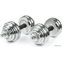 Набор гантелей AMETIST хромированные в чемодане 30 кг