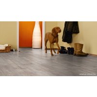 Ламинат Kronotex Exquisit Тик ностальгия бежевый (D3241)