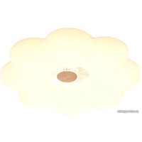 Припотолочная люстра Aitin Pro H6267/500