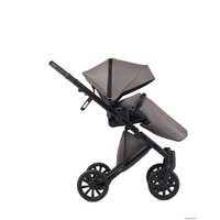 Универсальная коляска Anex E/type 2022 (2 в 1, gothic et-03A)