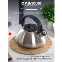 Чайник со свистком Attribute Duet ASD004