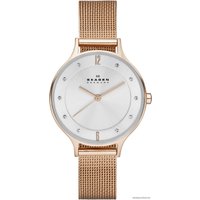 Наручные часы Skagen SKW2151