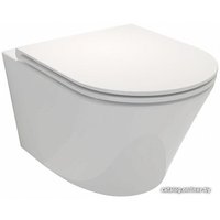 Унитаз подвесной Jacob Delafon Rodin+ EDY102-00 (без сиденья)