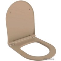 Сиденье для унитаза Ambassador Abner 102T20501S (темно-бежевый матовый)