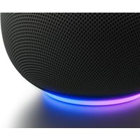 Умная колонка Google Home Speaker (лесной орех)