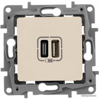Розетка USB Legrand Etika 672336 (слоновая кость)