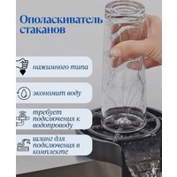 Ринзер ARFEKA GW Eco AR (black)