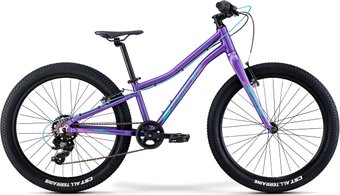 Велосипед Merida Matts J. 24+ Eco 2021 (фиолетовый)