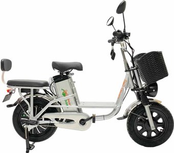 Электровелосипед GreenCamel Транк Монстр R16FAT (500Вт 48В 15Ач)