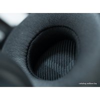 Наушники JBL Everest Elite 300 [V300NXTBLK]