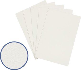 Картон для рисования Vista-Artista грунтованный PKR-5070 50х70 см