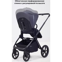 Универсальная коляска Rant Falcon Soft Therm RA111 (2 в 1, grafit)