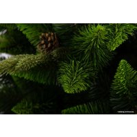 Сосна GreenTerra Рапсодия зеленая 2.2 м