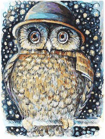 Картина по номерам Белоснежка Сова в шляпе 3073-CS