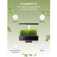 Умный сад CACTUS CS-LEDPOT-11