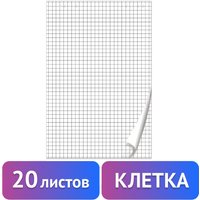 Бумага для флипчарта BRAUBERG 128645 (20 листов, клетка)
