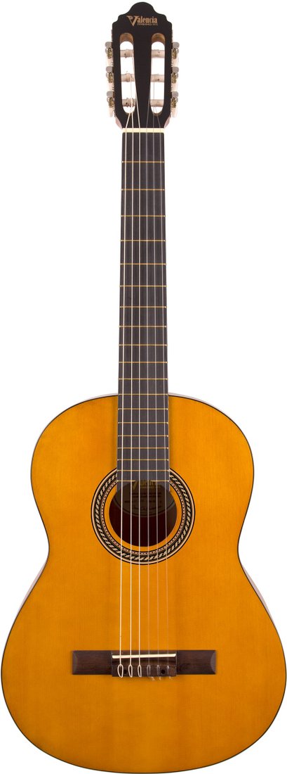 

Акустическая гитара Valencia VC204 N