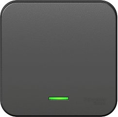 

Выключатель проходной Schneider Electric Blanca BLNVA106116