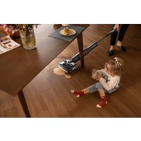 Вертикальный моющий пылесос Roborock Wet and Dry Vacuum Cleaner F25 LT (с русской озвучкой, черный)