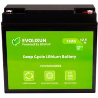 Аккумулятор для ИБП Evolisun EVOLISUN18Q10-LFP (12.8В/18Ач)
