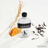 Парфюмерная вода Calvin Klein CK Everyone Eau de Parfum EdP (200 мл)