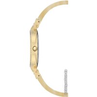 Наручные часы Anne Klein 2894CHHN