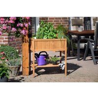 Ящик для рассады Диприз Д.7457