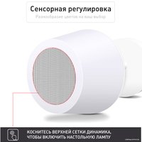 Беспроводная колонка Evolution LV2019