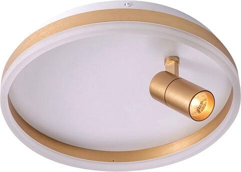 

Припотолочная люстра Zortes Raizy ZRS.1888.04