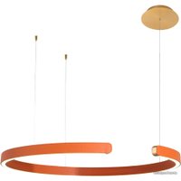 Подвесная люстра LOFT IT Ring 10025/600 Orange