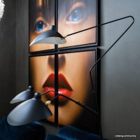 Торшер L'Arte Luce Spider L05644