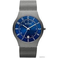 Наручные часы Skagen 233XLTTN