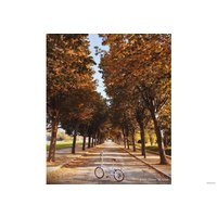 Велосипед Shulz Easy 2023 (белый)