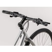 Велосипед Trek FX 2 Disc Women's Stagger L 2020 (серебристый)