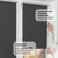 Рулонные шторы Sundays Home LM 167-07 160х170 (темно-серый)