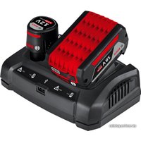 Зарядное устройство Bosch GAX 18V-30 Professional 1600A011A9 (14.4-18В)